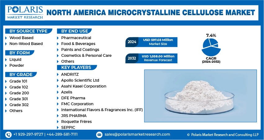 North America Microcrystalline Cellulose Market Info